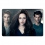    Twilight 351895
