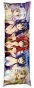   High School DxD - Zenovia, Argento, Gremory, Koneko, Himejima