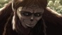 Shingeki no Kyojin / Attack on Titan  /   TV-2 HD