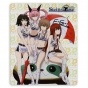    Steins;Gate 319840