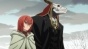     / Mahou Tsukai no Yome TV [DVD]