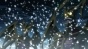 ����: �������� ���� / Garo: Guren no Tsuki [24 �� 24]