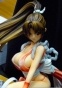 Shiranui Mai FG4256
