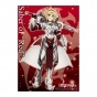 ������ �������� Fate/Apocrypha - Red Saber