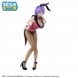 ������� SAV Kakkou no Iinazuke PM Figure Segawa Hiro