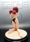 Mizuho Kazami Swimsuit FG3043